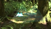 Embedded thumbnail