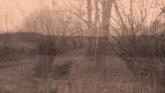 Embedded thumbnail