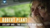 Embedded thumbnail