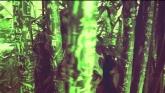 Embedded thumbnail