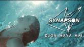 Embedded thumbnail