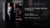 Embedded thumbnail