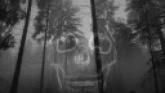 Embedded thumbnail