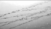 Embedded thumbnail