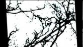 Embedded thumbnail