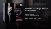 Embedded thumbnail