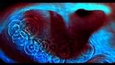 Embedded thumbnail