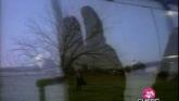 Embedded thumbnail