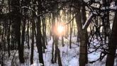 Embedded thumbnail