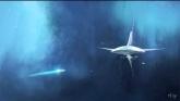 Embedded thumbnail