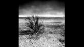 Embedded thumbnail