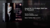 Embedded thumbnail