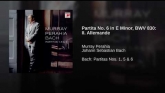 Embedded thumbnail