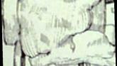 Embedded thumbnail