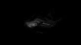 Embedded thumbnail