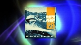 Embedded thumbnail