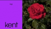 Embedded thumbnail