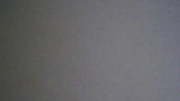 Embedded thumbnail