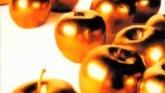 Embedded thumbnail