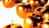 Embedded thumbnail