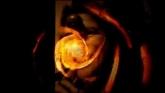 Embedded thumbnail