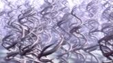 Embedded thumbnail