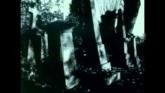 Embedded thumbnail