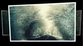 Embedded thumbnail