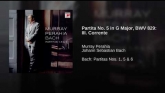 Embedded thumbnail
