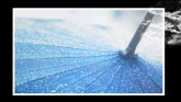 Embedded thumbnail