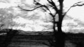 Embedded thumbnail