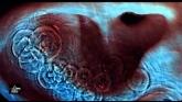 Embedded thumbnail