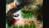 Embedded thumbnail