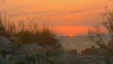 Embedded thumbnail