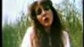 Embedded thumbnail