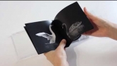 Embedded thumbnail