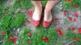 Embedded thumbnail
