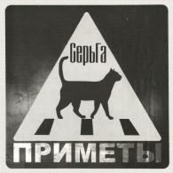 Приметы Серьга: Приметы