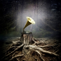 Тор Аквариум: Тор