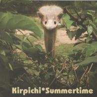 Кирпичи: Summertime