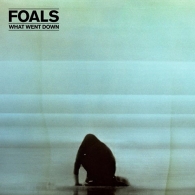 Foals (Фоалс): What Went Down