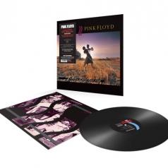A Collection Of Great Dance Songs Pink Floyd (Пинк Флойд): A Collection Of Great Dance Songs