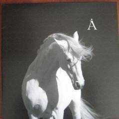 Аквариум: Лошадь белая