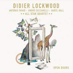 Didier Lockwood (Дидье Локвуд): Open Doors