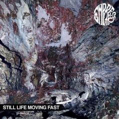 Still Life Moving Fast Empress Ad: Still Life Moving Fast