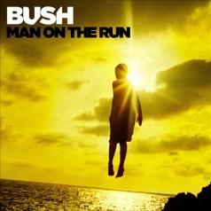 Bush: Man On The Run