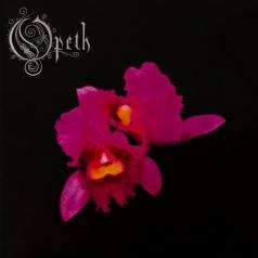 Opeth: Orchid