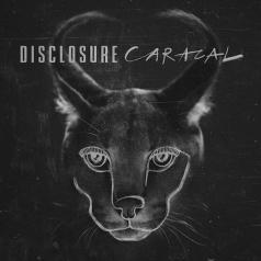 Disclosure (Дисцлосуре): Caracal