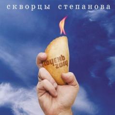 Сочень 2014 Скворцы  Степанова: Сочень 2014