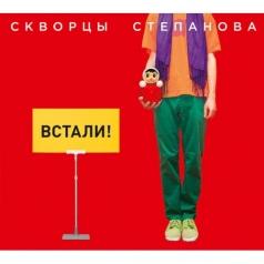 Встали! Скворцы  Степанова: Встали!